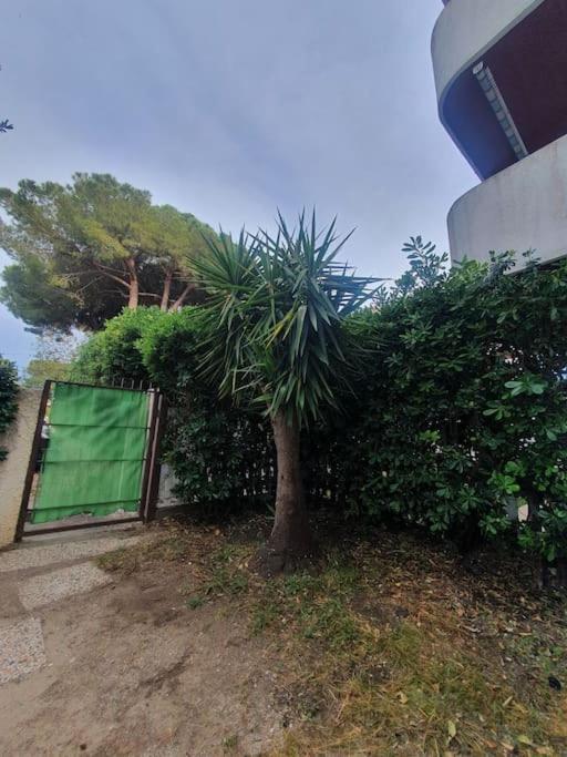 Ccc Holiday Properties Le Vele Ccc Montalto di Castro Exterior foto