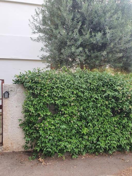 Ccc Holiday Properties Le Vele Ccc Montalto di Castro Exterior foto