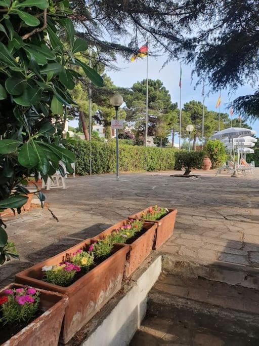 Ccc Holiday Properties Le Vele Ccc Montalto di Castro Exterior foto